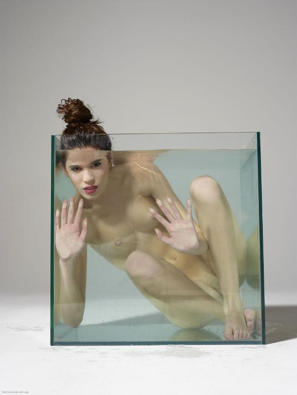 维多利亚 R 水族馆第 2 部分 #2